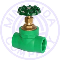VAN CỬA PPR